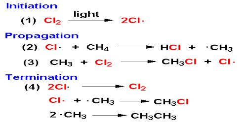 <p>what is the second stage of free radical substitution? (reaction between Cl2 and CH4 as an example)</p>
