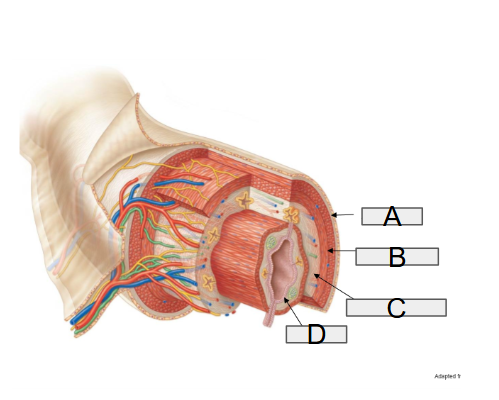 <p>A</p>