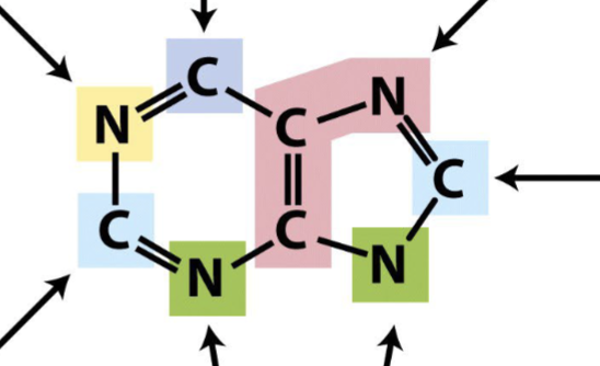 <p>what is purple?</p>