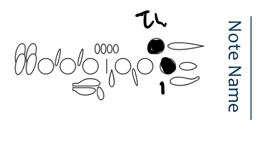 <p>E</p>