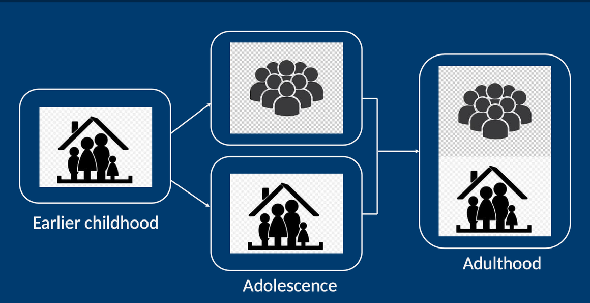 <ul><li><p>false</p></li><li><p>attachments during teenage years is different to early childhood</p></li><li><p>there is individuation from the home and peer social life</p></li><li><p>experimentation in peer, non-home groups</p></li></ul>