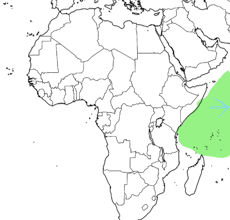 <p>What Ocean or Sea is this?</p>