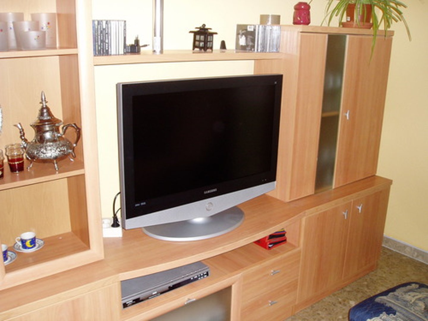 <p>the television</p>