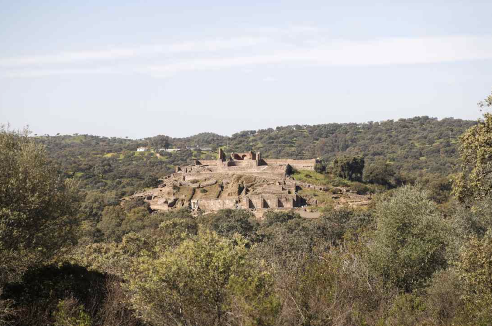 <p>63</p>