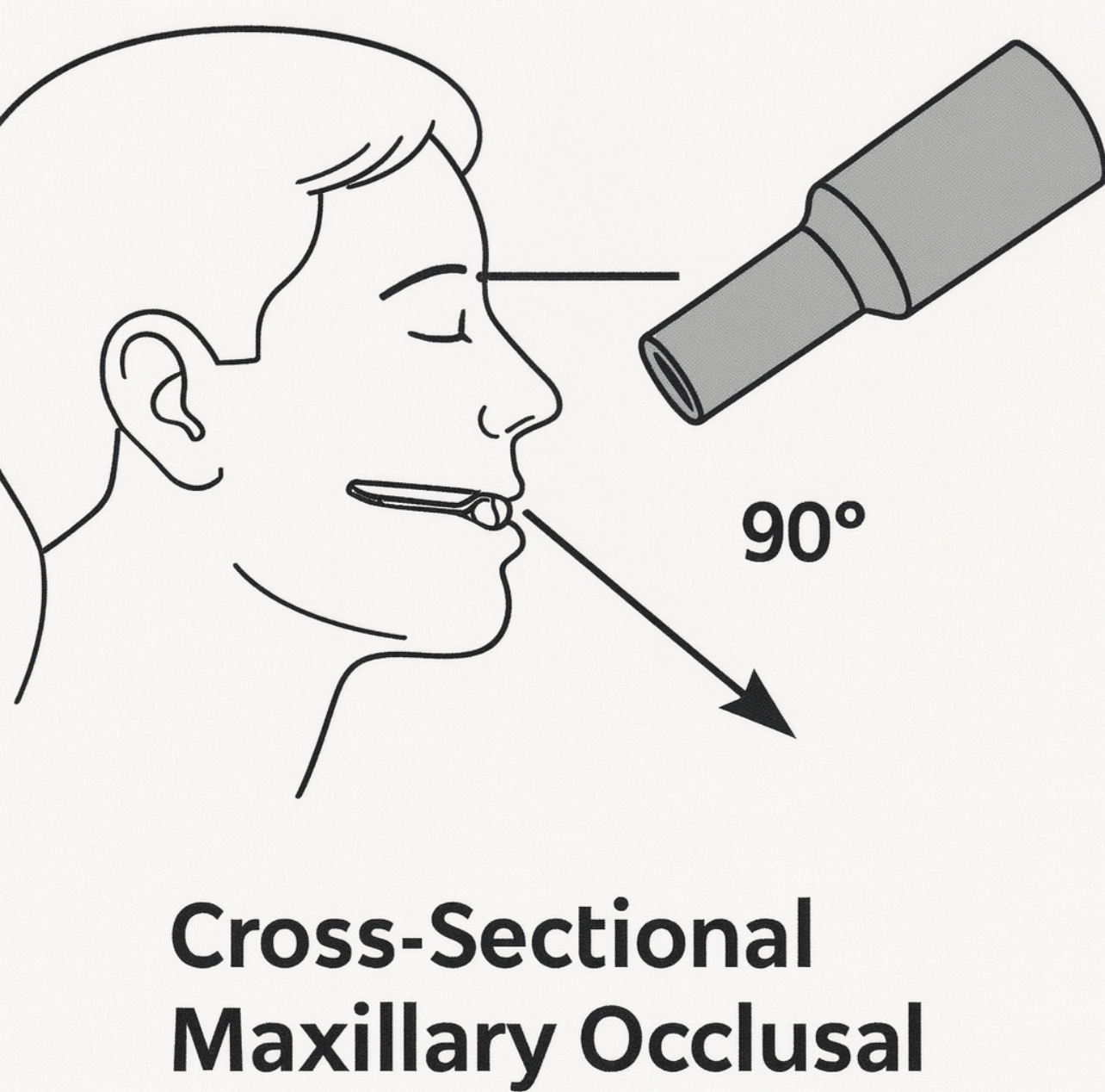 <p><span>How is the patient’s head positioned for the cross-sectional maxillary occlusal technique?</span></p>