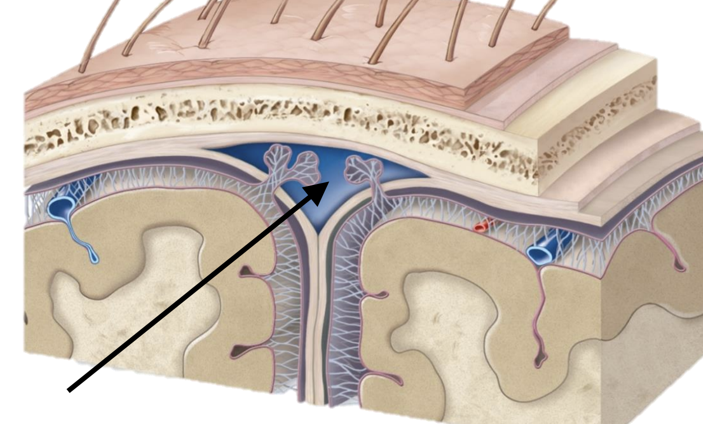 <p>Name the structure</p>