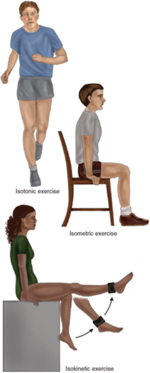 <p>It allows more oxygen to be delivered to the active muscles and extra carbon dioxide can be removed.</p>