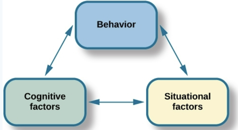 <ul><li><p>proposed by bandura</p></li><li><p>our behavior, cognitive process, and situational context all influence each other</p></li></ul><p></p>