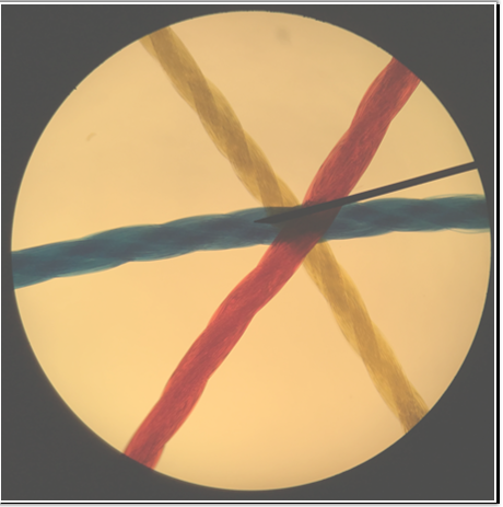 <p>40X</p>