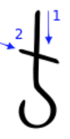 term image