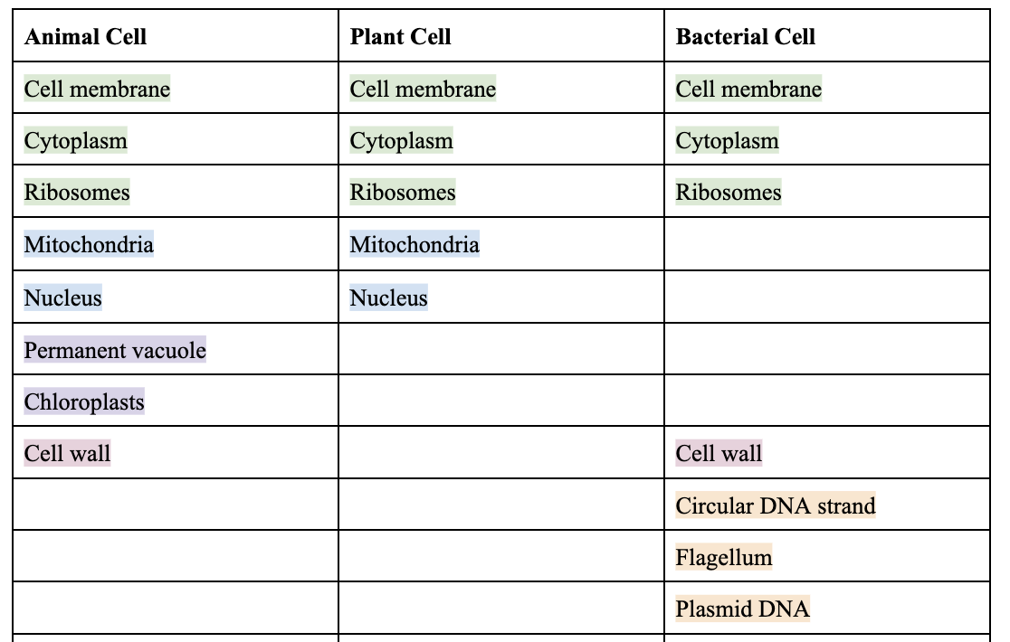 Common Features of the 3 cell types