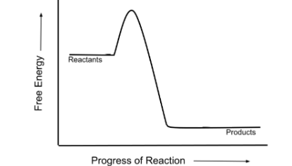 <p>Is this graph showing an exergonic or endergonic reaction?</p>