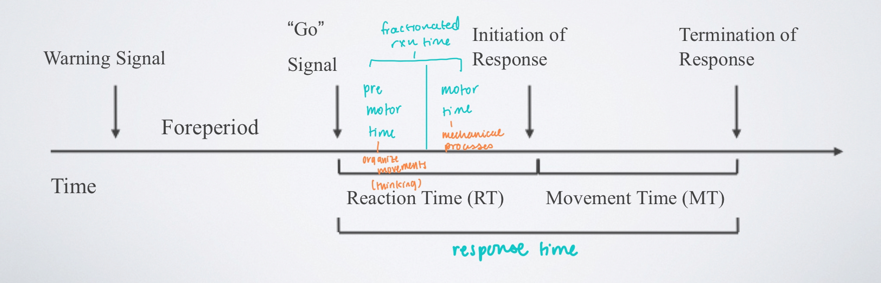 <p>the time interval involving both reaction time and movement time; the time from the onset of a signal to the completion of a response -aka: RT + MT</p>