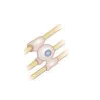 <p>The function of the cell depicted in the image shown is to _______</p>