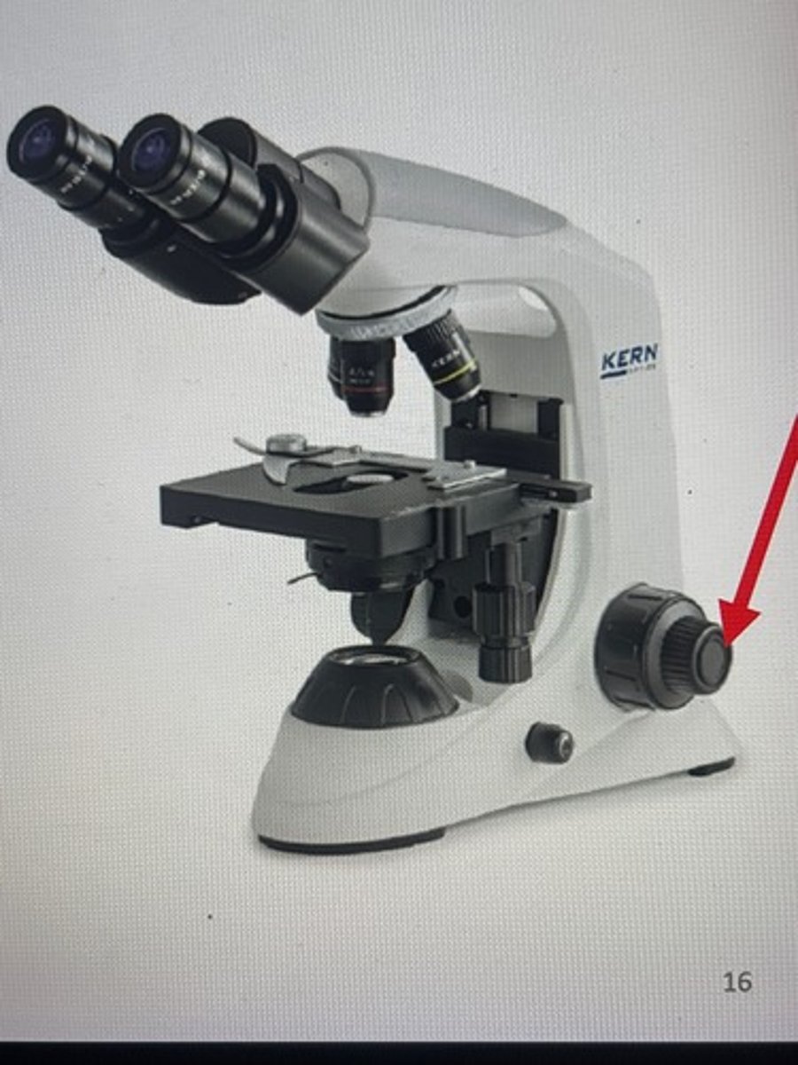 <p>Makes large, rapid movements to bring a specimen into rough view</p>