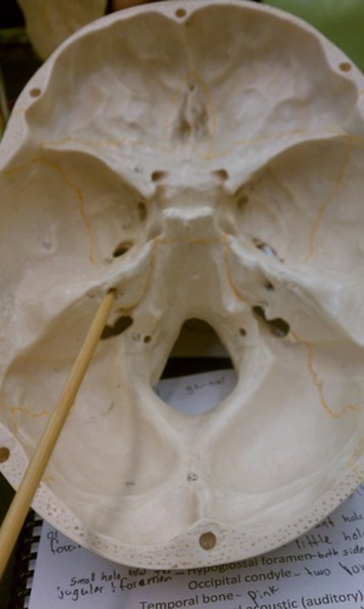 <p>Name the space</p>