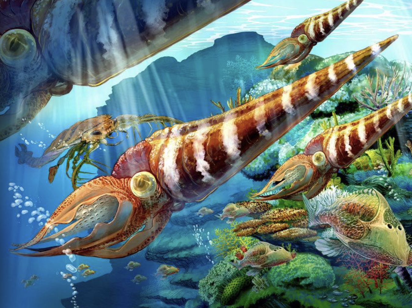 <ul><li><p><span><span>a massive evolutionary explosion in marine life </span></span></p></li><li><p><span><span>leading to a fourfold increase in marine animal genera, establishing modern marine ecosystems, and filling the oceans with diverse organisms, from early fish to complex invertebrates like cephalopods, brachiopods, and crinoids</span></span></p></li><li><p><span><span>setting the stage for future marine evolution through increased complexity in food webs, predation, and habitat use</span></span></p></li></ul><p></p>