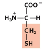 <p>Polar, neutral</p>