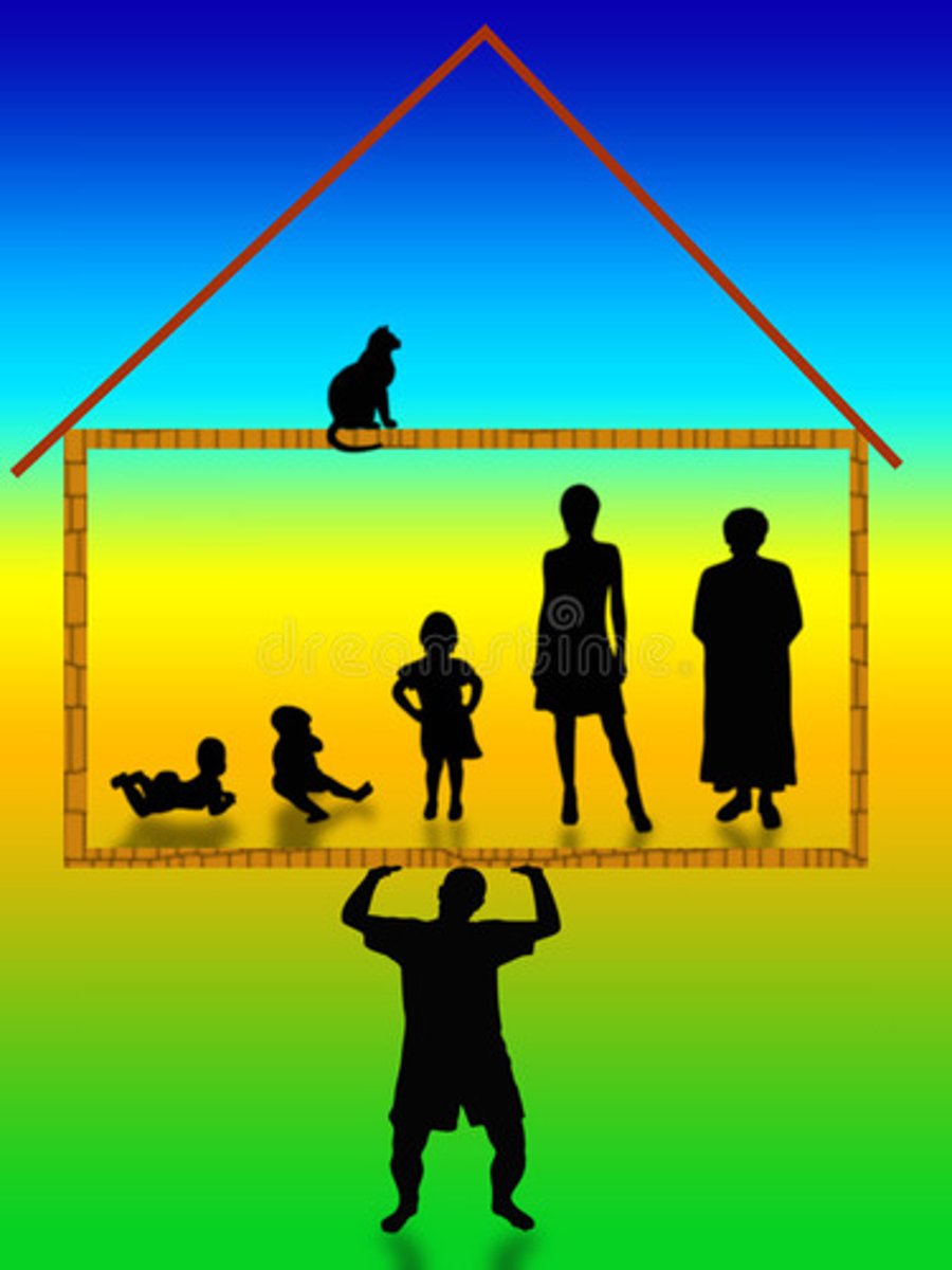 <p>(n): trụ cột gia đình</p>