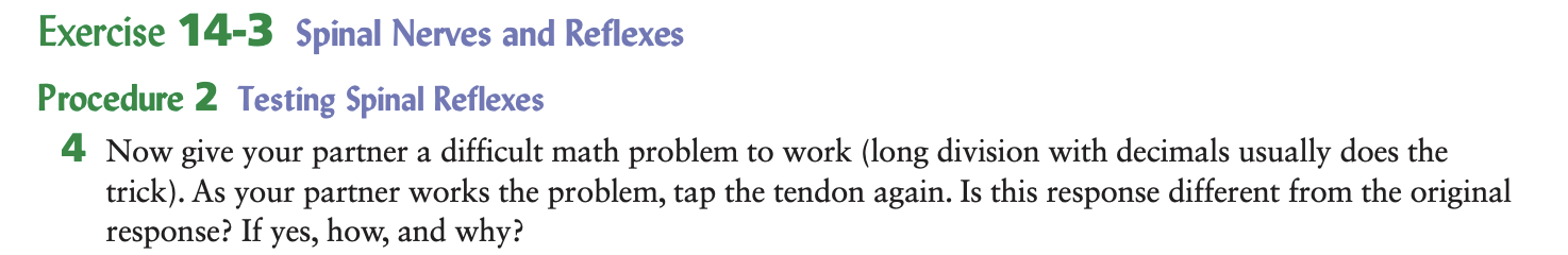 <p>Example spinal reflex test:</p><ol><li><p>Tap the subject’s patellar tendon and record the response</p></li><li><p>Give the subject a <strong>difficult math problem</strong> to work through and tap their patellar tendon again. <strong>How does the response change? Why?</strong></p></li></ol><p></p>