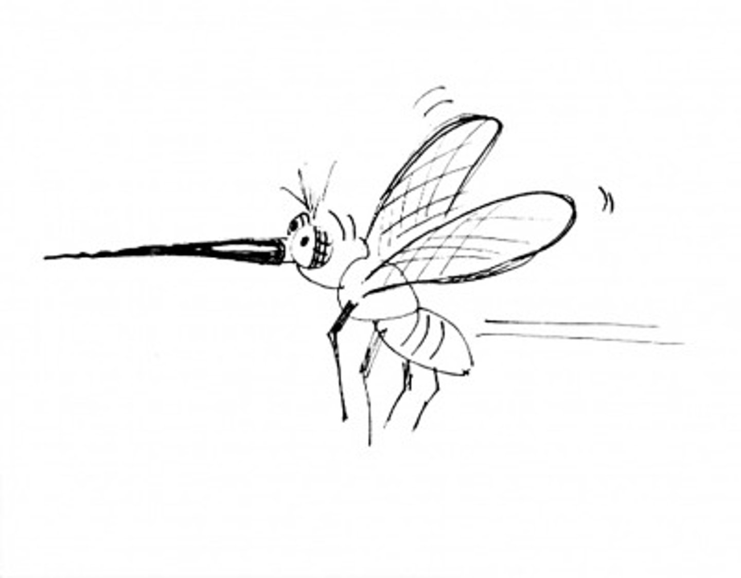 <p>muỗi / mosquito</p>