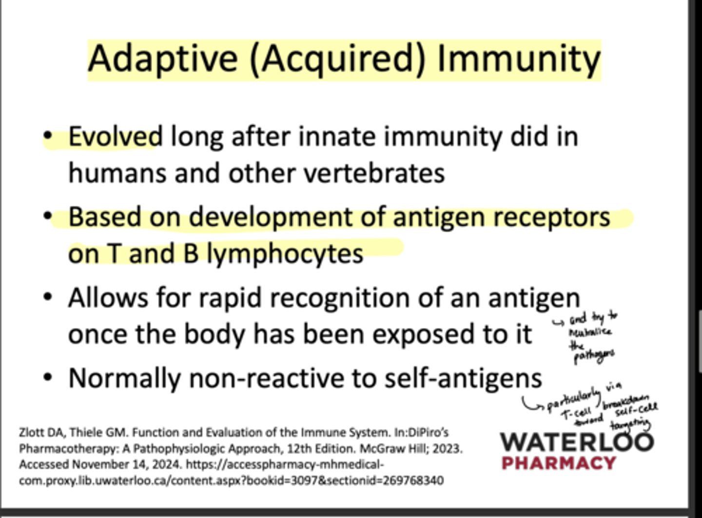 <p>Rapid recognition of an antigen after initial exposure</p>