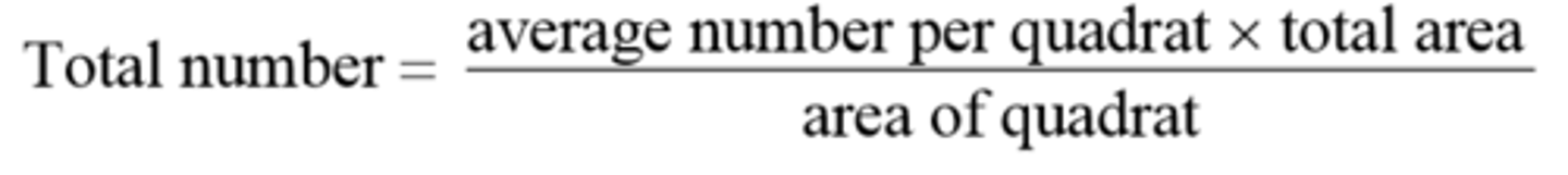 <p>Total population = (number in one quadrat × total area of quadrat) ÷ area of quadrat</p>