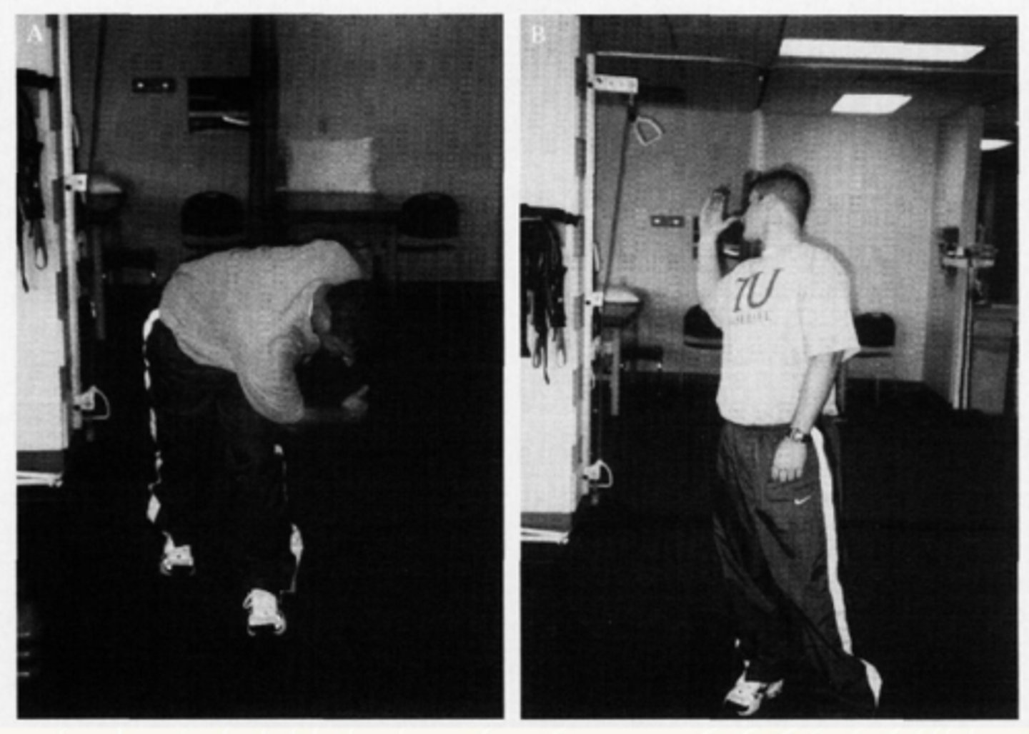 <p>What exercise is this?</p>