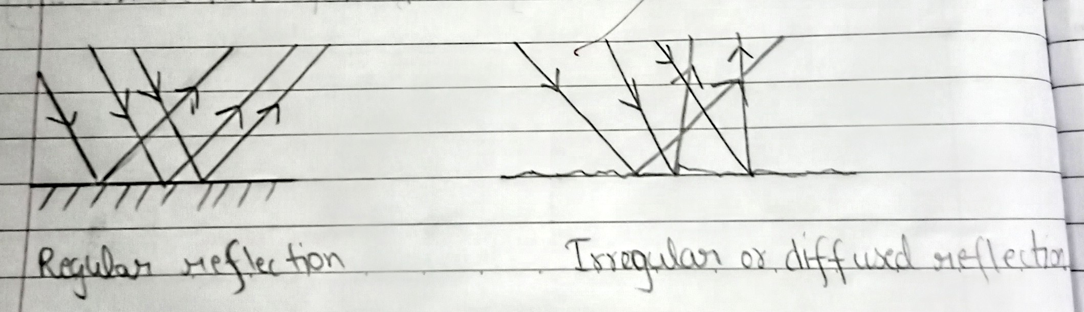 <ol><li><p>Regular reflection (on smooth surfaces)</p></li><li><p>Irregular or diffused reflection (on rough surfaces)</p></li></ol>