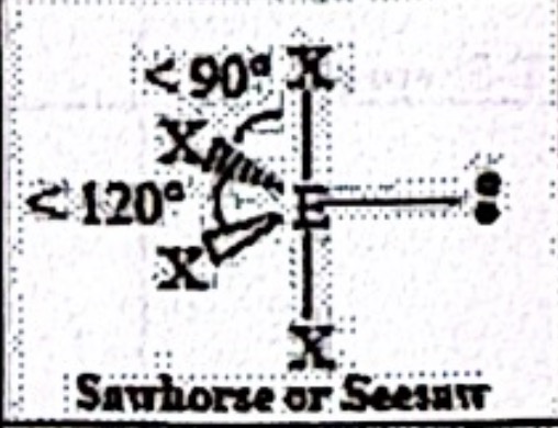 <p>Sawhorse or Seesaw (sp<sup>3</sup>d)</p>