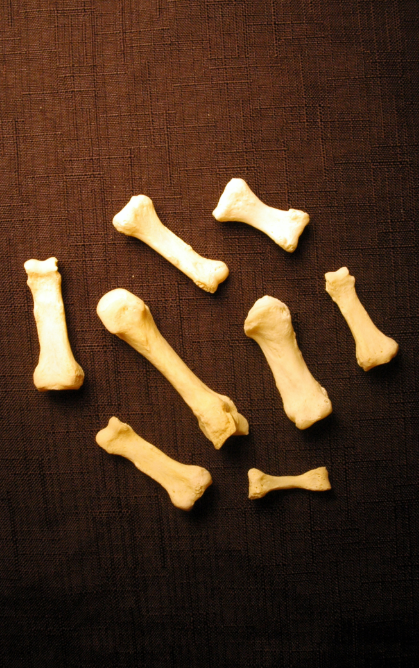 <p><span>How many phalanges are in every finger other than the thumb?</span></p>