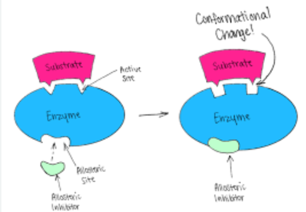 <p>Allosteric site</p>