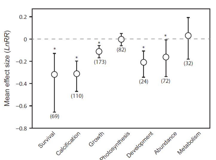 <p>Most important takeaways on the PAPER on the <strong><u>Meta-Analysis of Ocean Acidification on Marine Organisms:</u></strong></p><p></p>