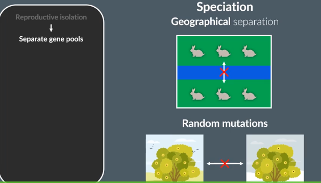 <p><span>Which two factors can lead to reproductive isolation?</span></p><p class="sc-ggWZvA sc-eaGtAs iOhPCm iAQreY"><span>1………….. separation</span></p><p class="sc-ggWZvA sc-eaGtAs iOhPCm iAQreY"><span><br>2. Variation caused by random………… such as differences in flowering season or………….behaviour.</span></p><p class="sc-ggWZvA sc-eaGtAs iOhPCm iAQreY"><span>As a results, the 2 seprated populations have separate …. …….</span></p>