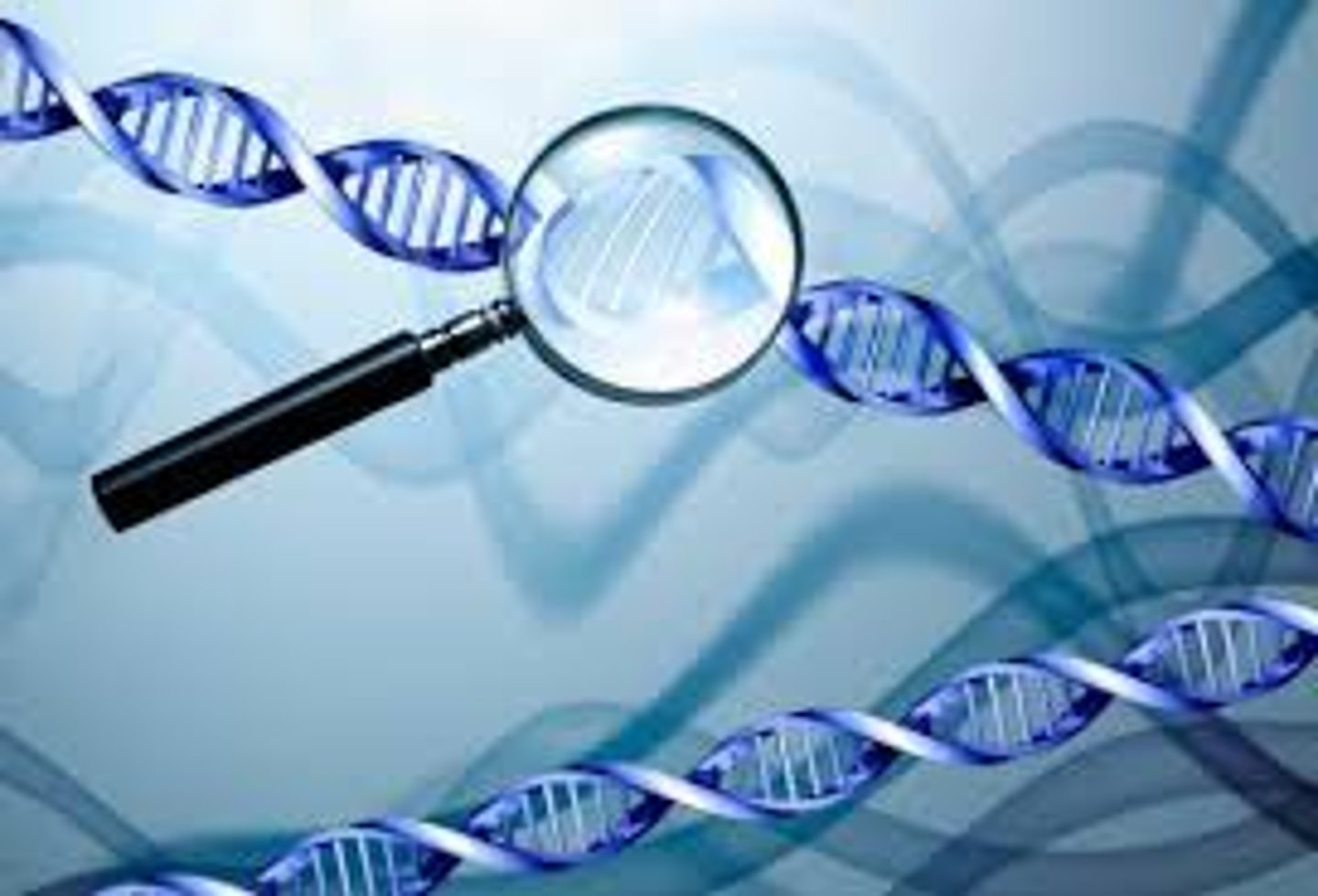 <p>to research; to investigate</p>