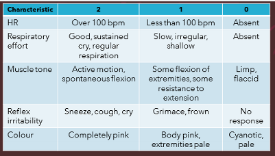 <p>appearance, pulse, grimace, activity, respiration. recorded at 1min, 5mins and sometimes 10mins</p>