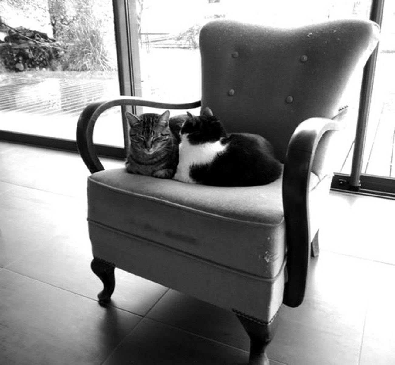 <p>Armchair, the</p>