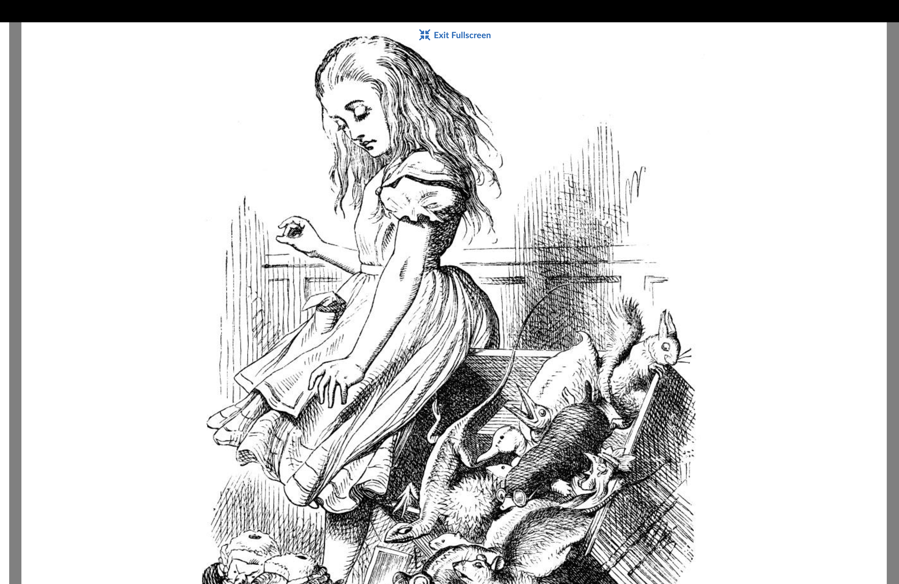 <p>Illustrator in the Victorian Era<br>Known for Alice in Wonderland</p>