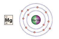 <ol><li><p>find out the atomic and mass number </p></li><li><p>draw a circle and write the amount of neutrons and protons in this circle</p></li><li><p>the amount of electrons in the atom varies the amount of circles around the centre circle</p></li><li><p>e.g. there are 16 electrons </p></li><li><p>there can be 2 electrons in the first shell, 8 in the second and 8 in the third</p></li></ol><p></p>