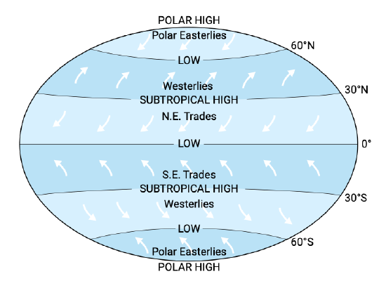 <p>A high-pressure zone at the poles where cold, sinking air creates polar easterlies.</p>