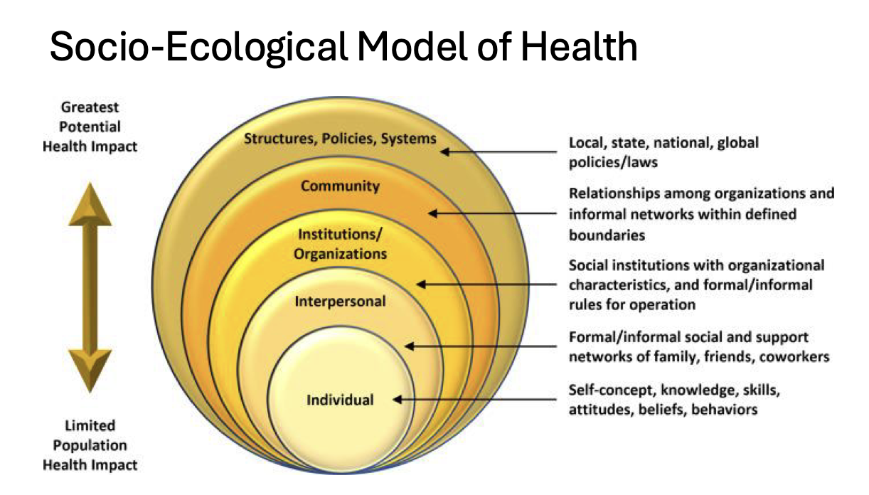 <p>From greatest potential health impact to limited population health impact":</p><ul><li><p>Structures, policies, systems</p></li><li><p>Community</p></li><li><p>Institutional organizations</p></li><li><p>Interpersonal</p></li><li><p>Individual</p></li></ul><p></p>
