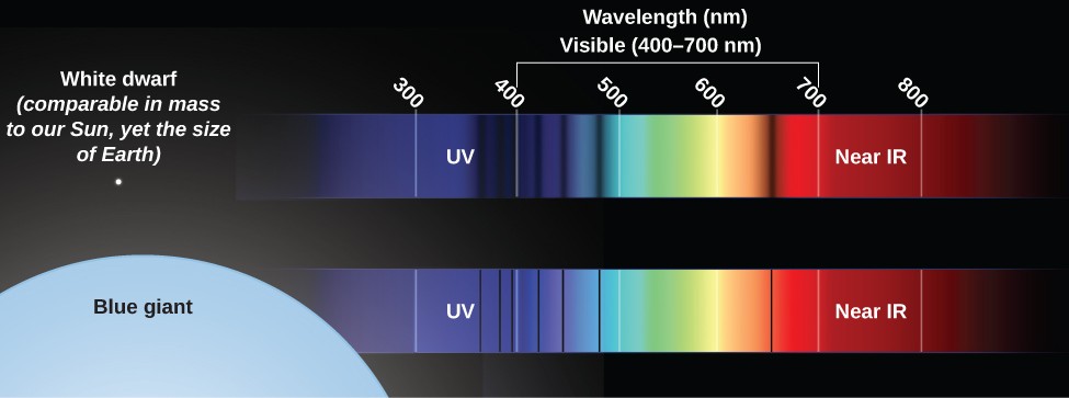 Known wavelengths of light caused by atoms, ions (and sometimes molecules) in the outer regions of a star absorbing light at well-defined wavelengths.
