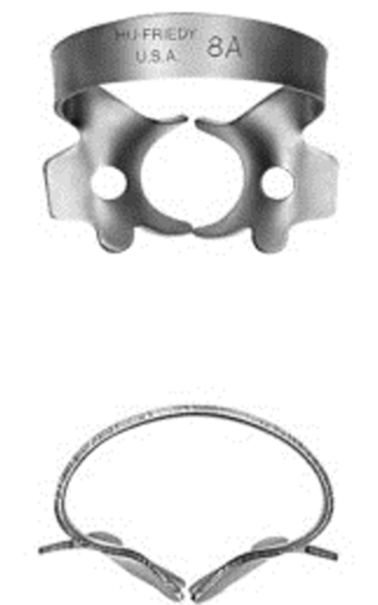 <p>•Deeply festooned four-point jaws for molars</p>