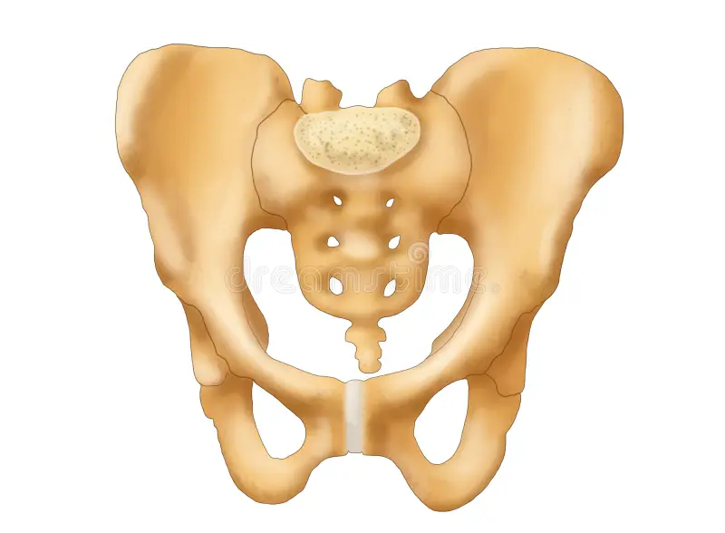 <p>What bone is this? </p>