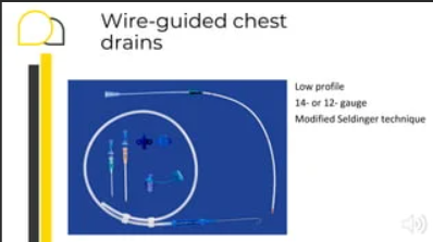 <p><strong>Small bore wire-guided </strong>thoracic drain </p>