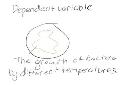 <p>What will be measured or observed as a result of specific conditions in the experiment</p><p>(Variable, not a group)</p>