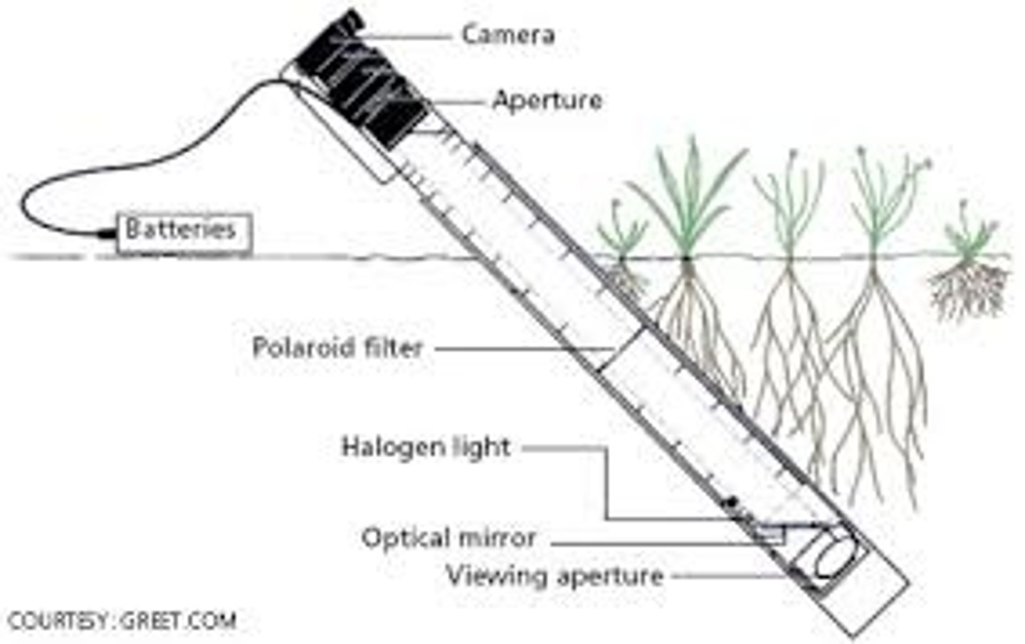 <p>films root growth</p>