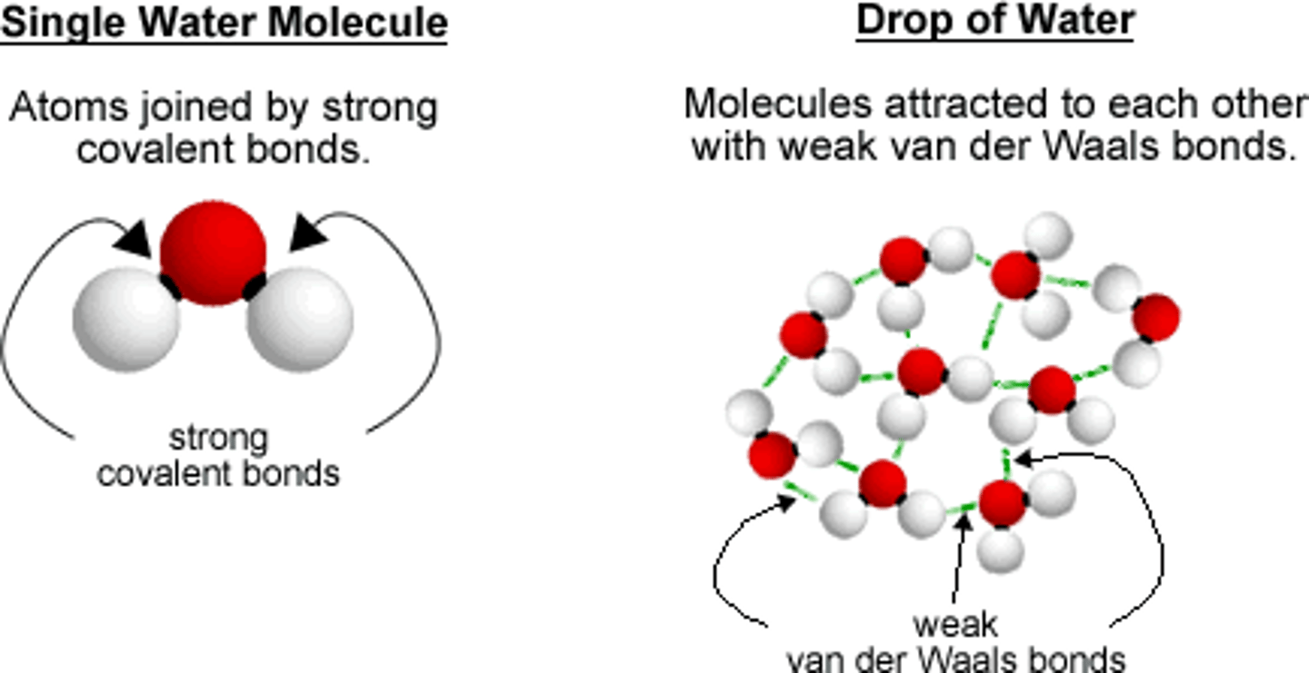 <p>Attraction between the oppositely charged regions of nearby molecules</p>