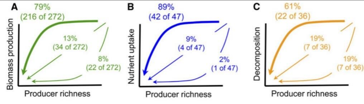 <ul><li><p>368 experiments</p><ul><li><p>terrestrial, fresh water, marine</p></li><li><p>plant types</p></li></ul></li></ul><p>→ generalize to primary producers</p><p></p><p>proportional loss: linear relationship</p><ul><li><p>1 change in biodiversity = 1 change in ecosystem function</p></li></ul><p>Rivet redundancy: redundancy of species so if 1 goes extinct, ecosystem doesnt collapse b/c on rebundant species that does the same</p><ul><li><p>multipple species that fill role of multiple functional groups</p></li></ul><p>immediate catastrophe: even a small decrease in biodiversity results in decrease in ecosystem</p><ul><li><p>saturating function (michaelis manten curve)</p></li><li><p>productivity: 79% (pos. & decelerating)</p></li></ul><p></p><p>3 aspects</p><p>A. primary productivity</p><p>B. Nutrient uptake → how effecient communities are utilizing resources</p><p>C.Decomposition → Nutrient cycling, returning nutrient back to soil</p><p></p><p>Caution in a strict + literal interpretation</p><ol><li><p>one aspect of diversity (richness)</p></li><li><p>relative importance of large early vs small later change in richness under field conditions & tipping point</p></li></ol><p>→ study counting all species as equal not realistic</p><p></p><p>Assumption “saturated model”</p><ul><li><p>function can be extrapolated to estimate max. biomass production as species richness goes to infinity</p></li></ul><p>→ literal interpretention not advised</p><p></p>