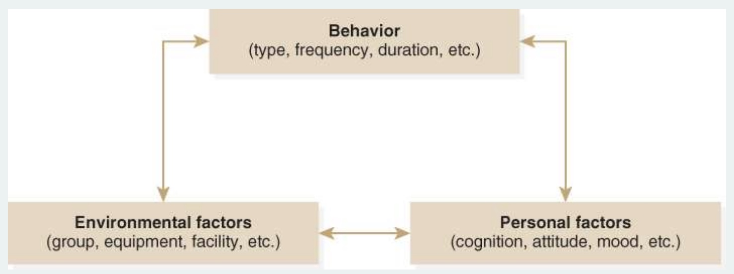 <p>-behavior, envionrmental factors, personal factors</p><p>-bidirectional arrows=<strong>Reciprocal Determination</strong>=affect and interact with each other</p>